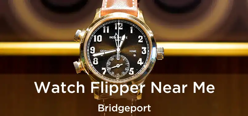 Watch Flipper Near Me Bridgeport